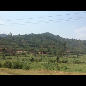 Meet your Posher, Yvonne